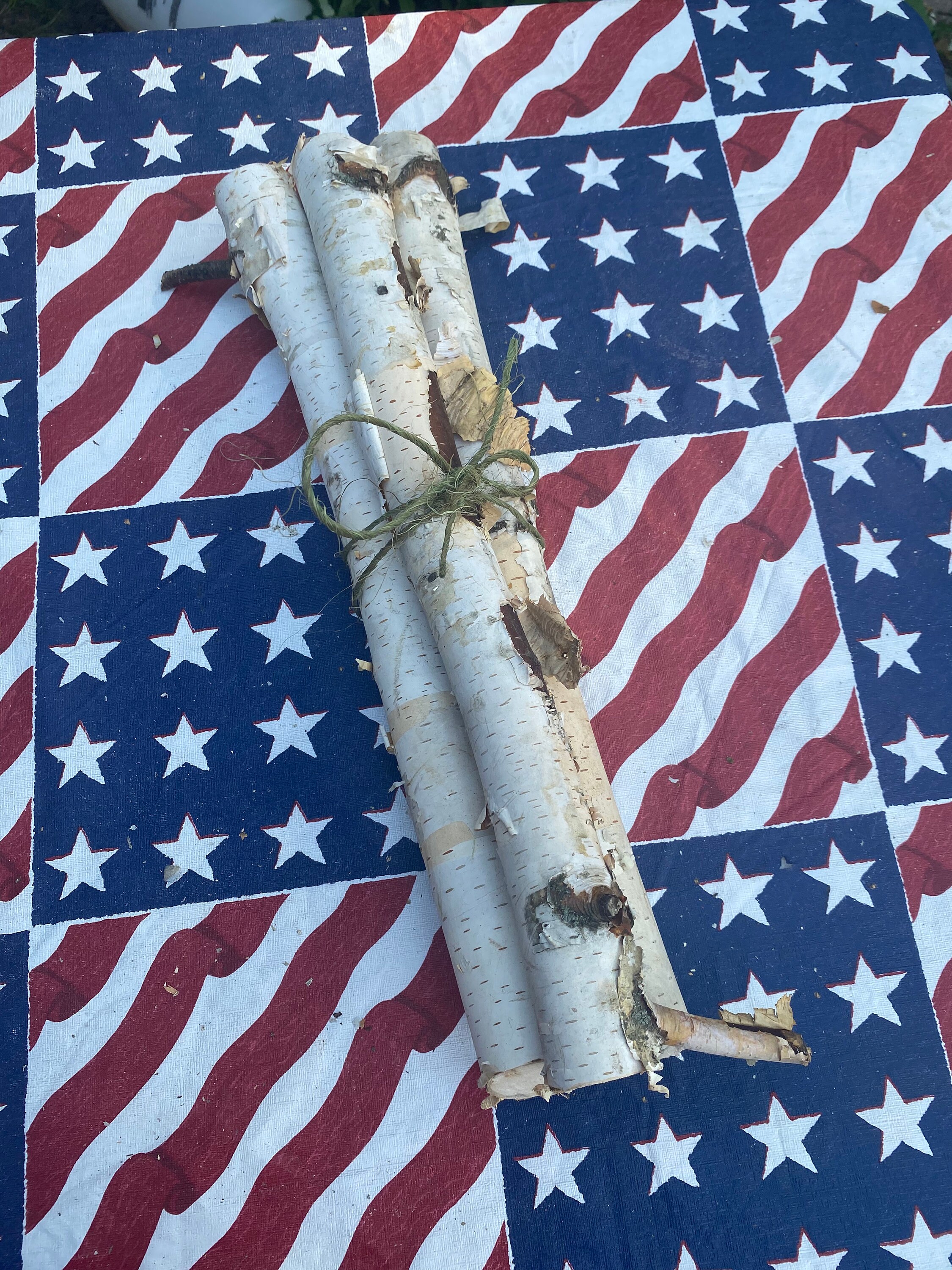 Birch Wood Bundles Birch Logs Wood Craft Supplies Etsy