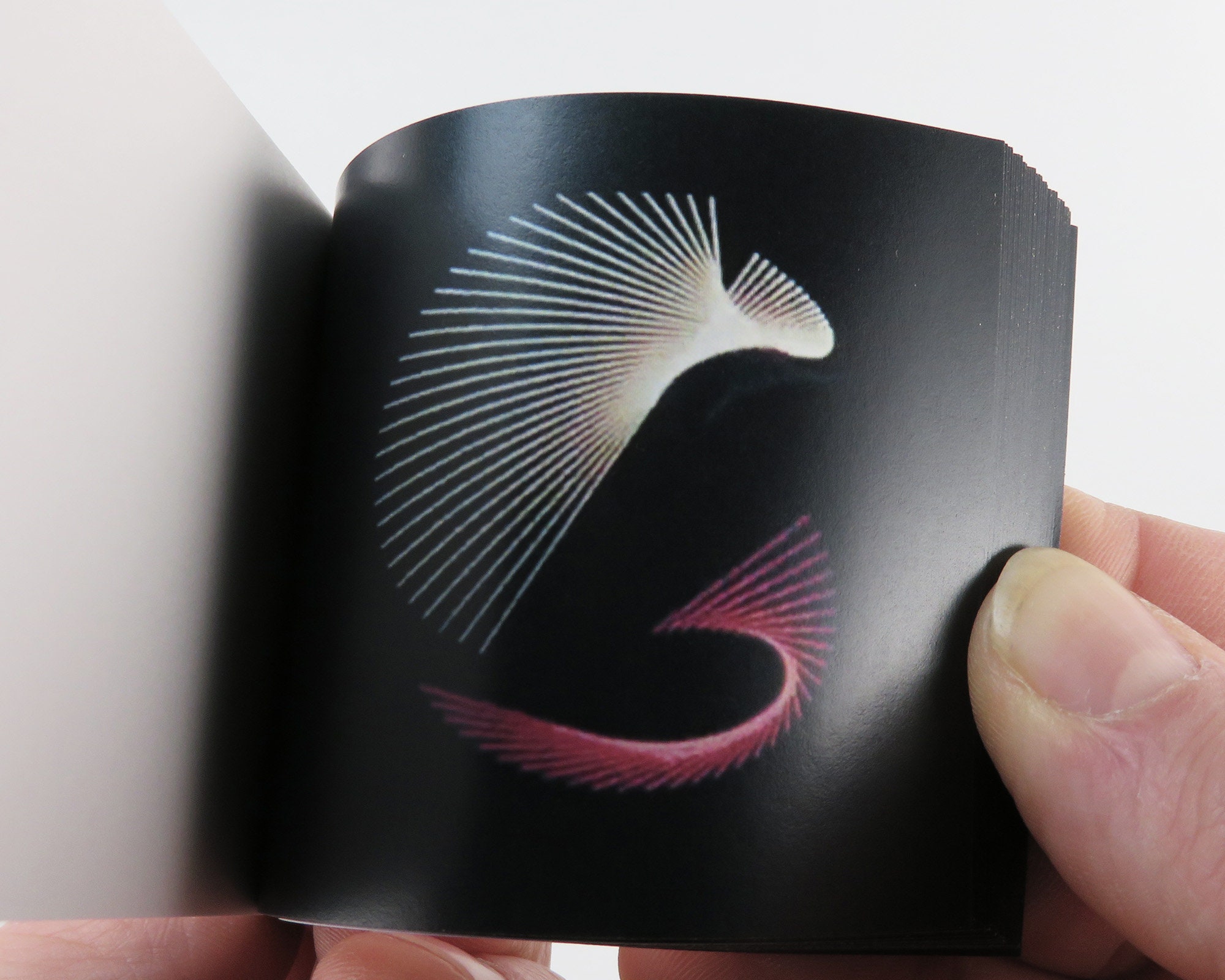 Motion Graphics Flipbook Diy Flip Book Animation Printable Party