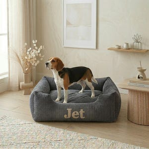 May include: A gray corduroy dog bed with the name "Jet" embroidered on the front. A beagle stands inside the bed, with a black, brown, and white coat. The bed is in a well-lit room with neutral tones.