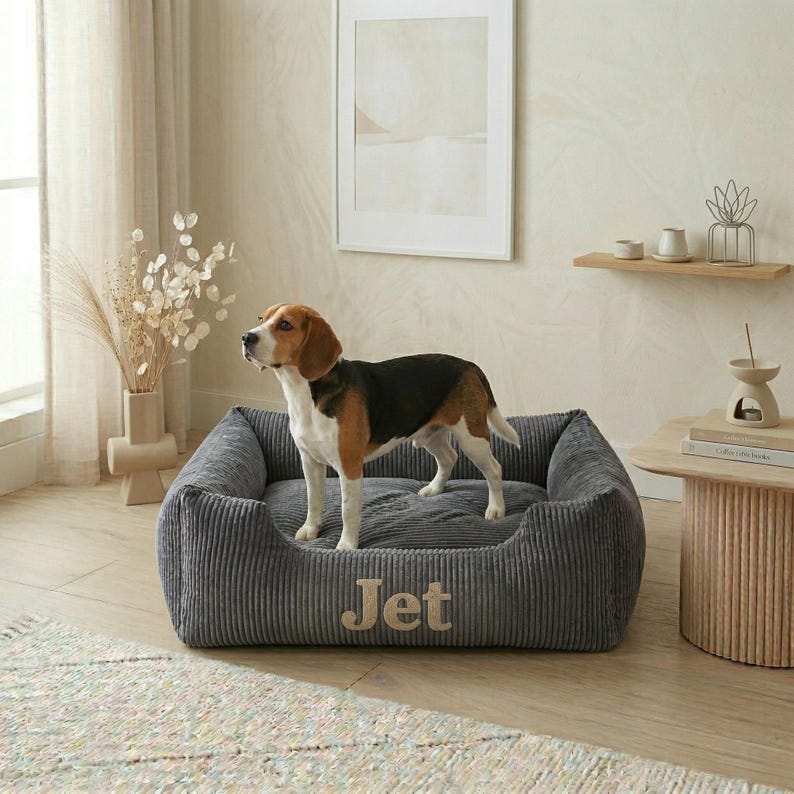 May include: A gray corduroy dog bed with the name "Jet" embroidered on the front. A beagle stands inside the bed, with a black, brown, and white coat. The bed is in a well-lit room with neutral tones.