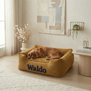 May include: A golden-yellow corduroy dog bed with the name "Waldo" embroidered in navy blue. A brown dog is sleeping soundly inside the bed. The bed is rectangular with raised sides, and sits on a light-colored wooden floor.