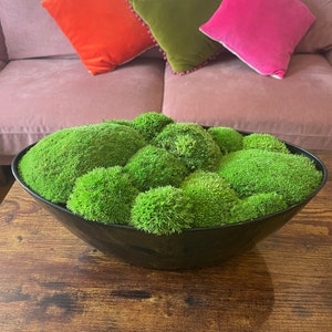 Moss in large Round Cement Bowl