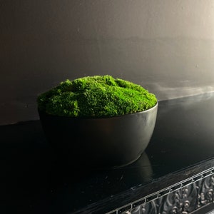 2 Diameter Small Green Round Moss Balls Sold in Sets of 12-vase or Bowl  Filler-spring, Summer, Fall Decor 