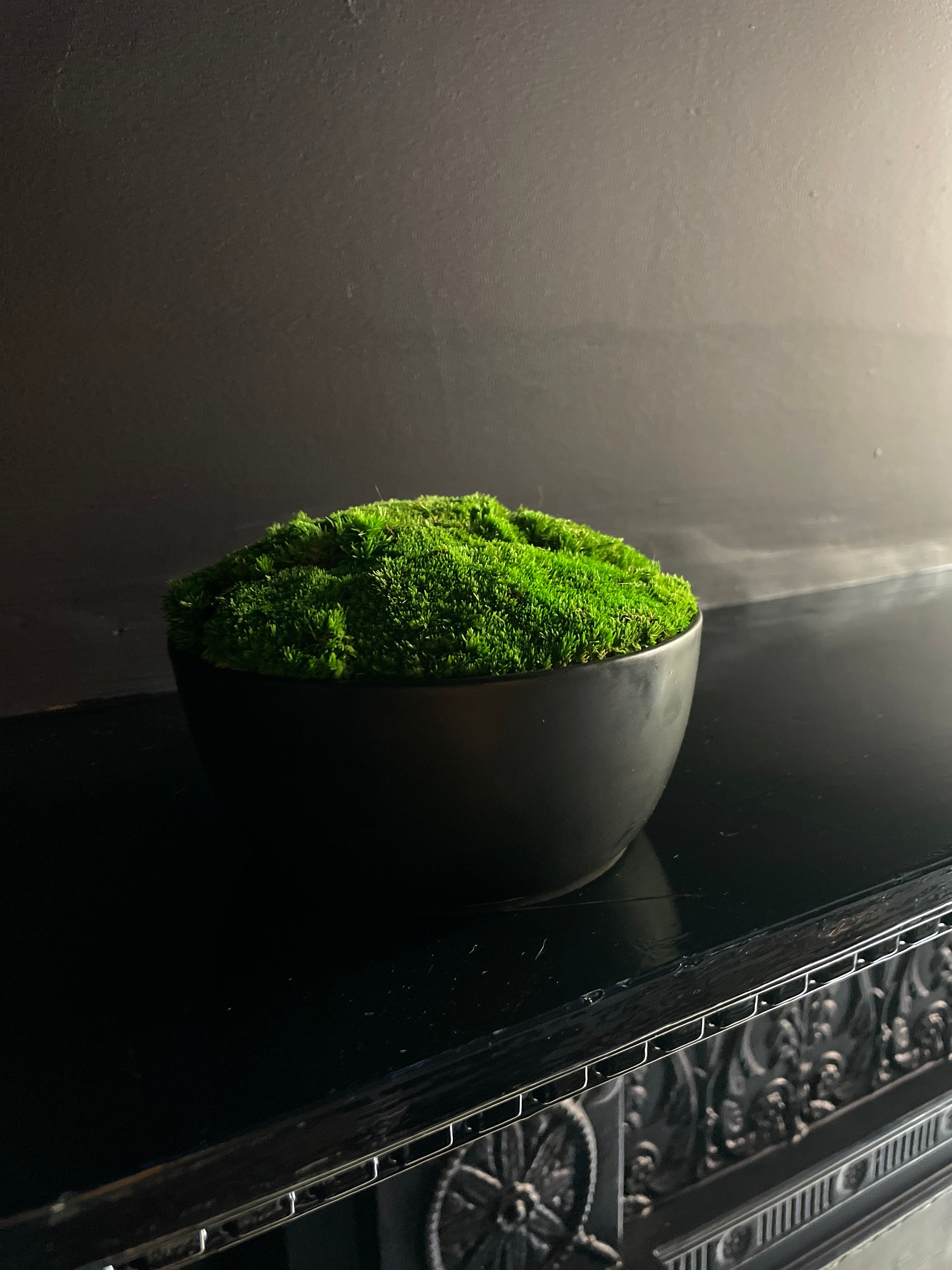 Handcrafted Concrete Moss Bowl – theindoorbotanists