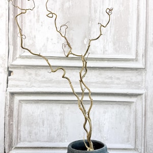May include: A dark grey ceramic vase with a textured finish, holding dried, twisted branches. The branches are a light brown colour and have an unusual, organic shape. The vase is on a black surface, set against a weathered, white-painted door.