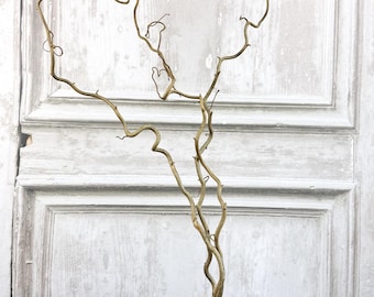 Twisted Hazel, Natural Dried Corylus Branches, Japandi Twisted Hazel, Curly Rustic Branch, Wabi Sabi Twigs for Vase, England