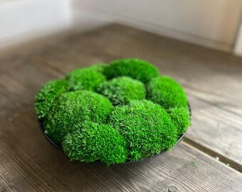 Preserved Moss Bowl 21cm | Natural | Black Ceramic