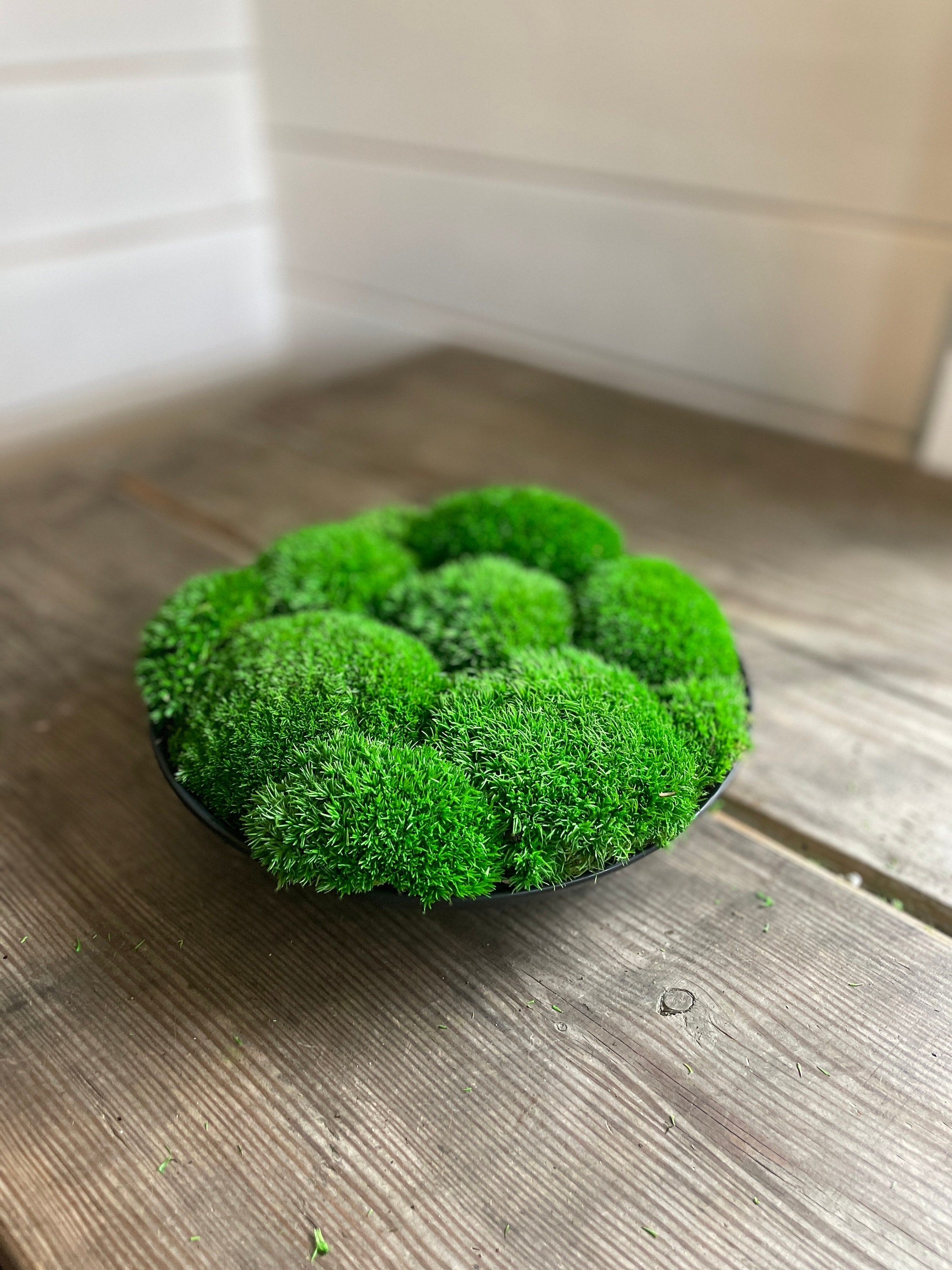 Large Round Moss Bowl Rustic Preserved Moss Centerpiece Moss