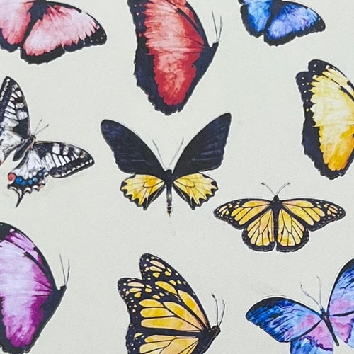 Butterfly Stickers Butterfly Envelope Seals Butterfly Etsy