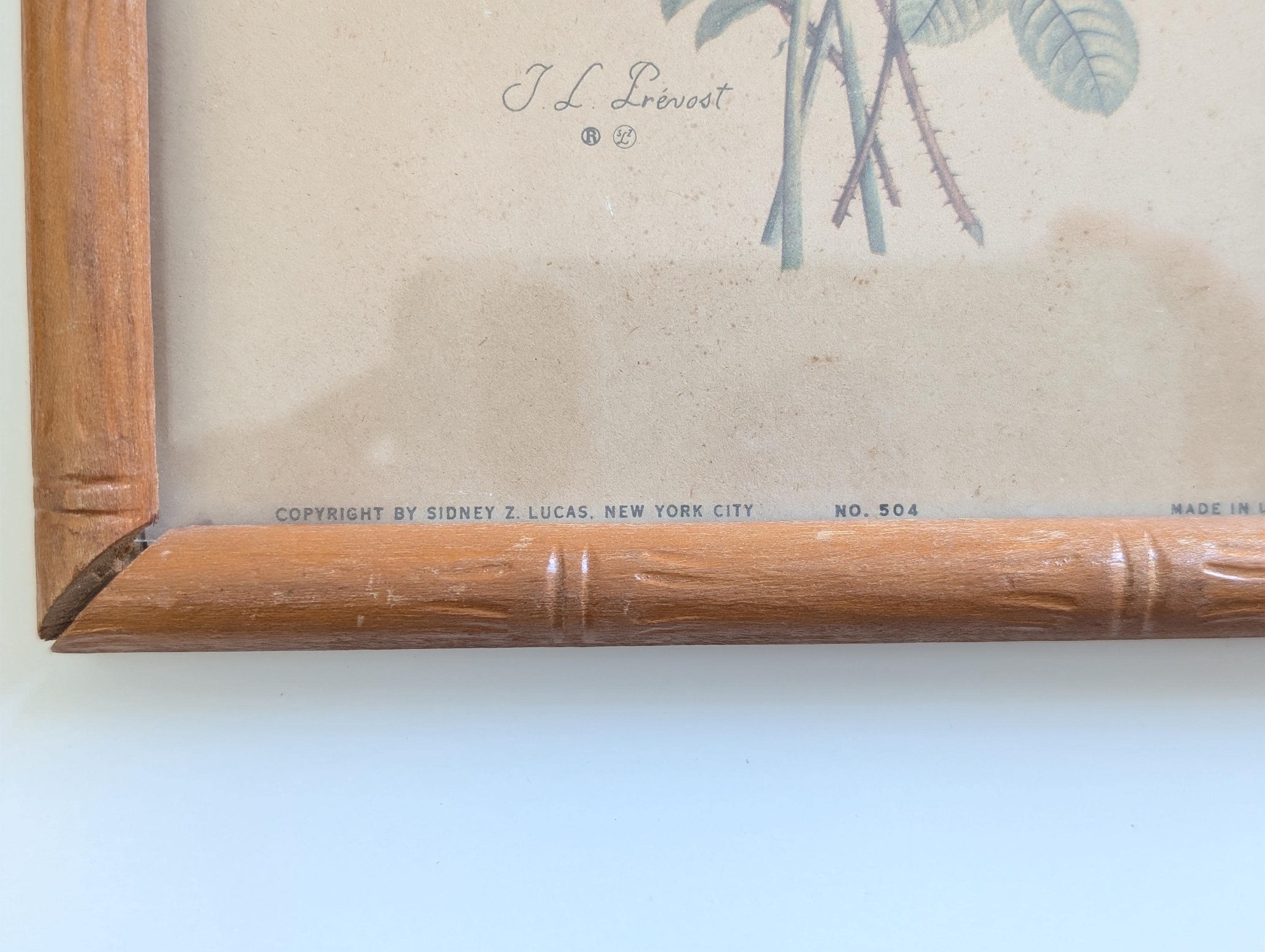Vintage Jean Louis Prevost Floral Prints, Wooden Frames, Set of 2 - Etsy