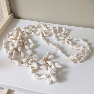 Vintage Seashell Plant Hanger