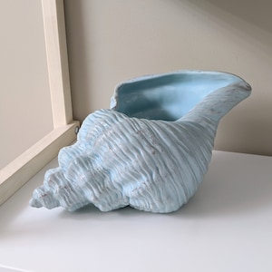 May include: A light blue ceramic seashell planter with a textured surface. The planter is shaped like a large seashell and has a wide opening at the top.