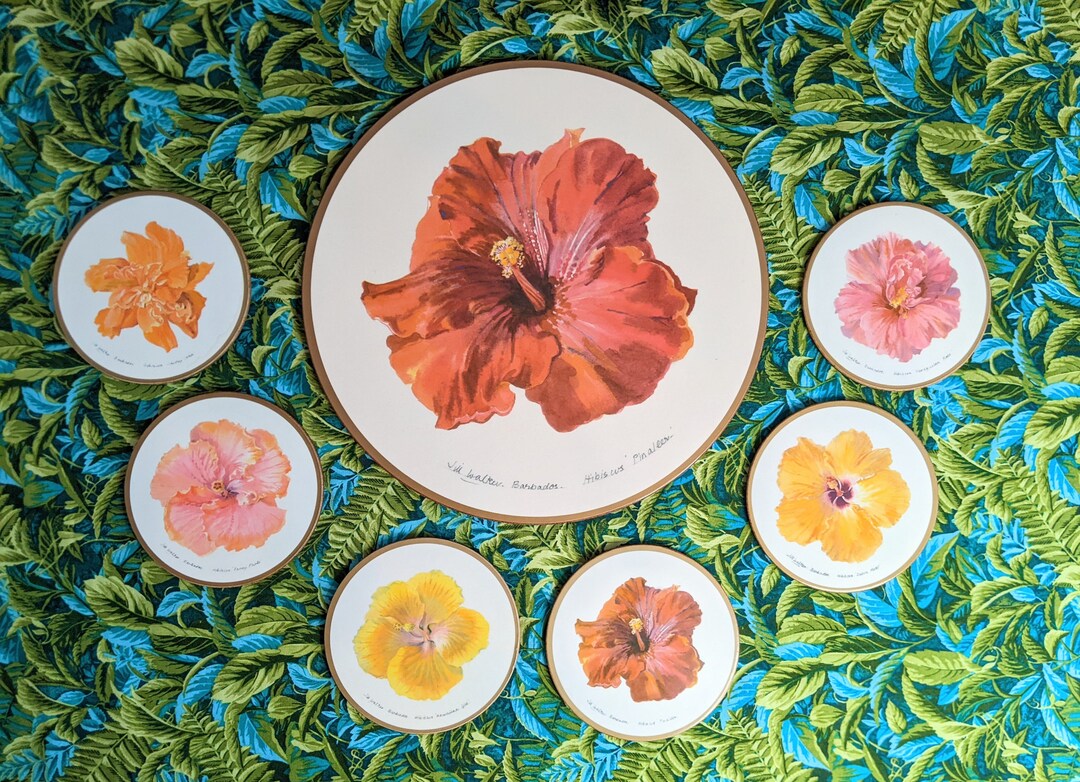 Set of Vintage Pimpernel Jill Walker Barbados Hibiscus Etsy