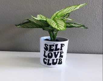 Home Decor. Motivational quote. Planter