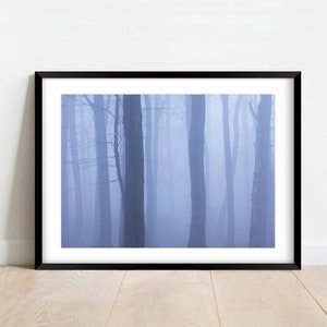 Nebliges Waldland Fotodruck - Herbst Landschaftsfotografie - Englische Landschaft - Minimalismus Bäume im Nebel Foto - Wohnkultur & Wandkunst