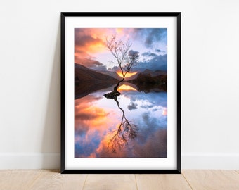 Lone Tree Photo Print Landscape Photography - North Wales Llyn Padarn, Llanberis - Eryri, Snowdonia - Mountain Lake A1 A2 A3 A4 A1 A0