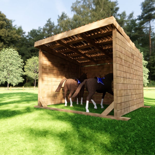 Casa de rescate de caballos, planos de granero de refugio para caballos de 10×12