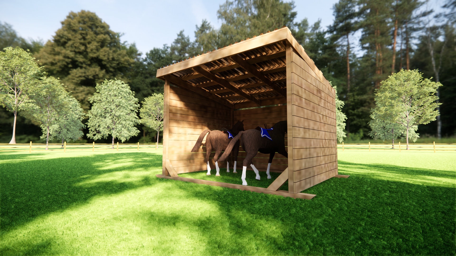 Horse Rescue Home,Horse Shelter Barn plans 10×12