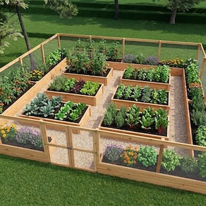 May include: A square wooden garden enclosure featuring a wire mesh fence and a central gate. Inside, multiple rectangular raised wooden planter beds are arranged in a grid pattern, filled with various green vegetables, leafy plants, and flowers.