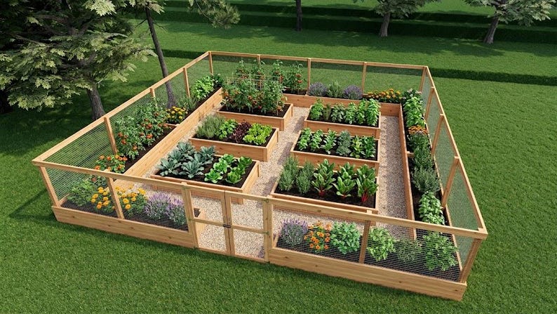 May include: A square wooden garden enclosure featuring a wire mesh fence and a central gate. Inside, multiple rectangular raised wooden planter beds are arranged in a grid pattern, filled with various green vegetables, leafy plants, and flowers.