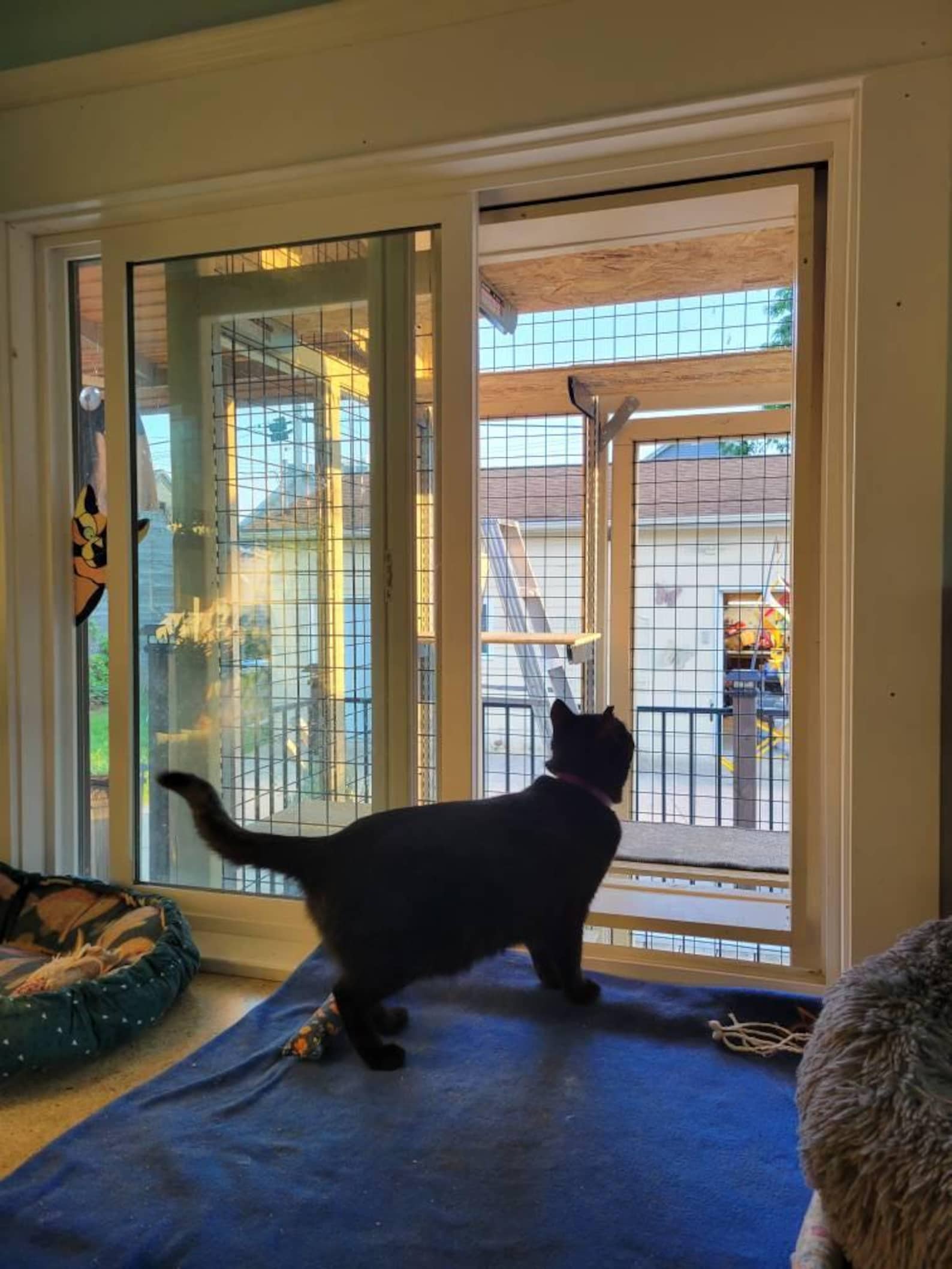 Catio Plans - Cat House Plan 6×8 - Etsy