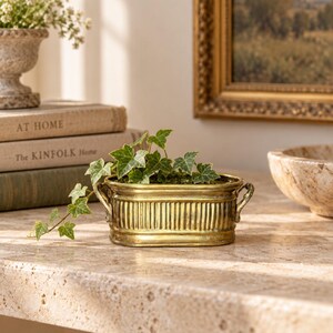 Puede incluir: Una maceta ovalada de latón con textura acanalada y dos pequeñas asas laterales. La maceta presenta un acabado dorado metálico y contiene una pequeña planta de hiedra verde con hojas variegadas que cuelga por el borde del recipiente.