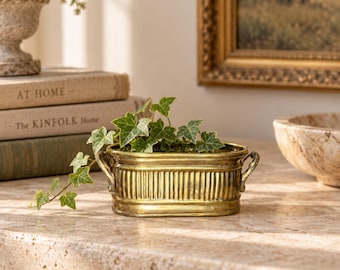Puede incluir: Una maceta ovalada de latón con textura acanalada y dos pequeñas asas laterales. La maceta presenta un acabado dorado metálico y contiene una pequeña planta de hiedra verde con hojas variegadas que cuelga por el borde del recipiente.