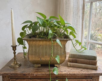 Puede incluir: Una maceta cuadrada de latón estriado con un borde ancho y cuatro patas pequeñas, que contiene una exuberante planta pothos verde con enredaderas colgantes. La maceta está colocada junto a una vela blanca larga y fina en un candelabro de latón y tres libros apilados.