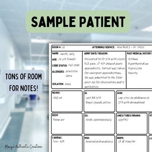 May include: A sample patient chart with medical information, including name, age, allergies, and medical history. The chart is divided into sections for different body systems, such as neuro, GI, skin, and respiratory. The chart also includes information about the patient's medications and procedures.