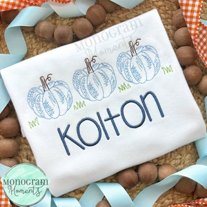 Kürbis Trio Maschinenstickerei Design, Herbst Bohne Stich Skizze Stickdatei