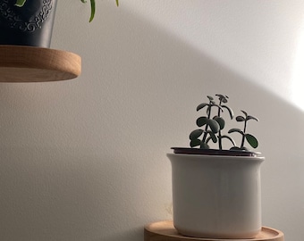 Handgemaakte set van 3 houten planken//drijvende plantenstandaard//eikenhouten plantenstandaard//zwevende plank//zwevende wandplanken
