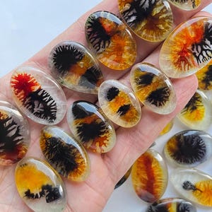 Scenisk Agat Doublet Lot Cabochon Parti Tillgänglig Till Mycket Billigt Pris Används För Smyckestillverkning