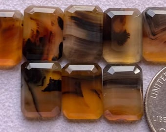 May include: A collection of eight rectangular gemstones with faceted edges. The stones display a mix of amber, brown, and black swirling patterns. A US quarter coin is included for size comparison, highlighting the gemstones' dimensions.
