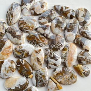 Top Quality Wild Horse Jasper  Cabochon Wholesale Lot Available With Very Cheap Price Used For Jewelry Making