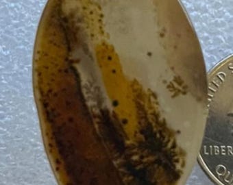 May include: A polished, teardrop-shaped gemstone with a unique pattern. The stone features a blend of translucent white, amber, and brown hues, with intricate, fern-like inclusions. The gemstone is held between fingers.