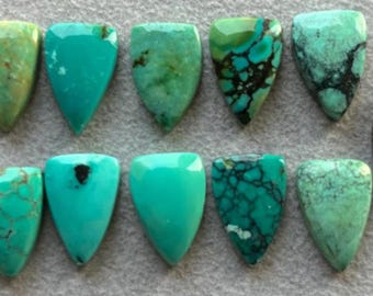 May include: Ten turquoise cabochons in a teardrop shape, with variations in color and veining. The stones are arranged in two rows of five.
