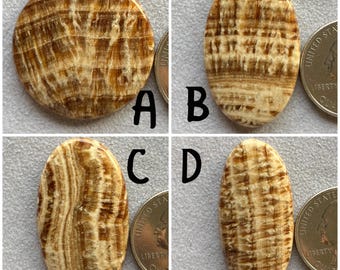 Puede incluir: Se muestran cuatro piedras pulidas de color marrón y crema. Una es redonda, las otras son ovaladas. Las piedras tienen un aspecto estratificado, similar a la madera. Una moneda está al lado de cada piedra para comparar el tamaño. Las letras A, B, C y D están junto a cada piedra.
