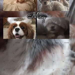 Doggy Dog Days Kalender