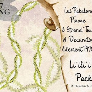 Pakalana Pikake Lei torsadé 3 brins, élément décoratif PNG fleur d'Hawaï, décoration florale Design téléchargement immédiat, Pack Li'ili'i - v1