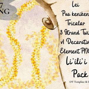 Puakenikeni Tricolor 3 Strand Twist Lei, Hawaii Flower PNG Decorative Element, Floral Decoration Design Instant Download, Li'ili'i Pack - v1