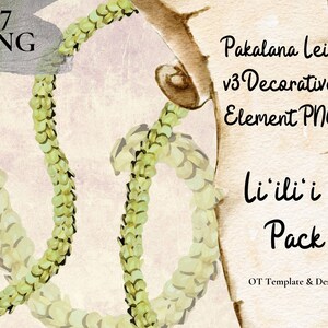 Elemento decorativo Pakalana Lei v3 PNG Paquete Liilii Diseño de decoración Lei hawaiano Remolino Flor tropical Clipart Descarga instantánea digital