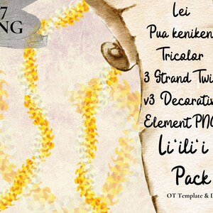Puakenikeni Tricolor 3 Strand Twist Lei, Hawaii Flower PNG Decorative Element, Floral Decoration Design Instant Download, Li'ili'i Pack - v3