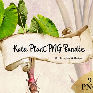 Taro Plant PNG Bundle,  Hawaiian Kalo Clipart, Instant Download