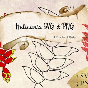 Heliconia Hanging Lobster Claw, Red and Yellow Flower, SVG Cut File, PNG files, Digital Instant Download