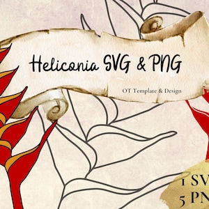 Heliconia Red and Yellow Flower,  SVG Cut File,  PNG files, Digital Instant Download