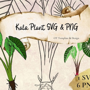 Archivo SVG de corte de planta Kalo, archivos PNG, descarga digital instantánea