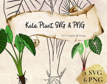 Kalo Plant SVG Cut File, PNG files, Digital Instant Download