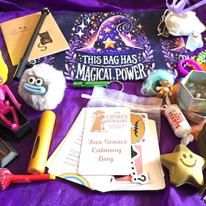 May include: A selection of novelty items on a purple cloth. Includes a bag with the text "THIS BAG HAS MAGICAL POWER", a skeleton in a coffin, a smiley face star, and various small toys and trinkets.