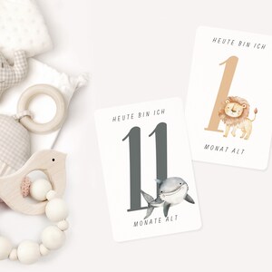 Cartes mensuelles pour bébé I 12 cartes jalons I Prise de vue pour bébé I Cadeau de naissance I Première année de bébé I Fleurs des mois de bébé - Modèle Canva A6