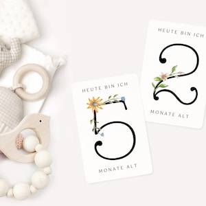 Cartes mensuelles pour bébé I 12 cartes jalons I Prise de vue pour bébé I Cadeau de naissance I Première année de bébé I Fleurs des mois de bébé - Modèle Canva A6